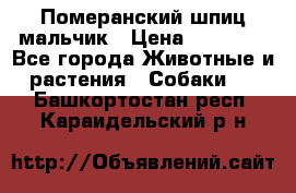 Померанский шпиц мальчик › Цена ­ 30 000 - Все города Животные и растения » Собаки   . Башкортостан респ.,Караидельский р-н